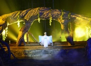 Волшебная белая лисичка превращается в прекрасную девушку